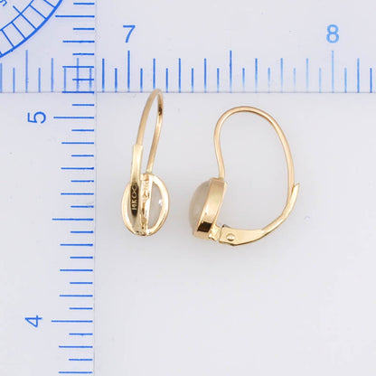 Ice Jadeite Jade 14k Yellow Gold Oval Drop Earring | UPC #373624