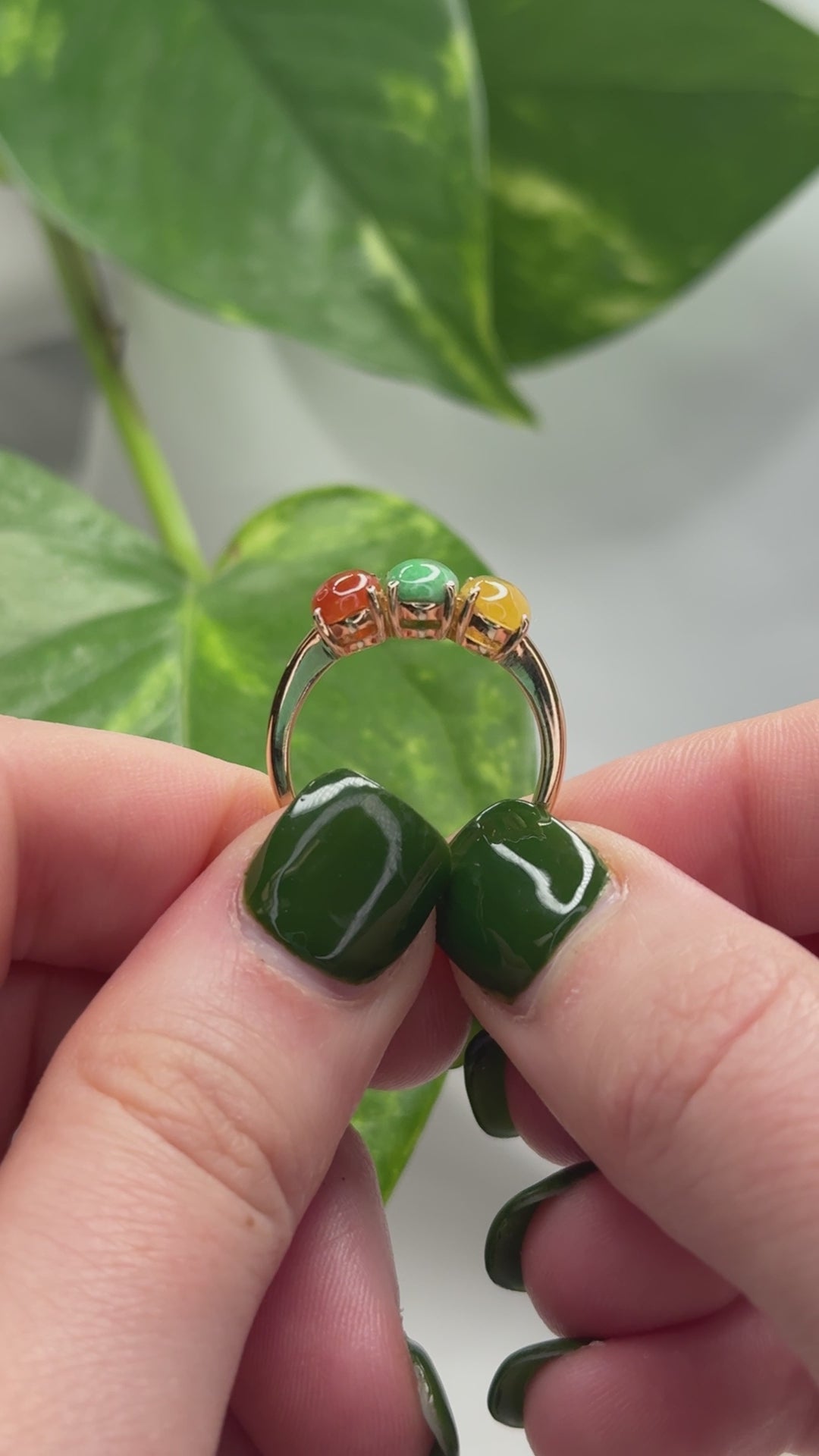 14K YELLOW GOLD RAINBOW JADEITE JADE BAND RING UPC #375635 – Mason